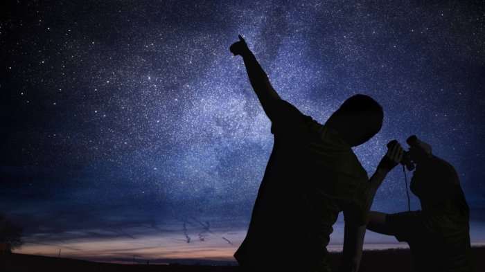 SANFIC 2024: Revisa las actividades GRATUITAS de cine y charlas en Santiago